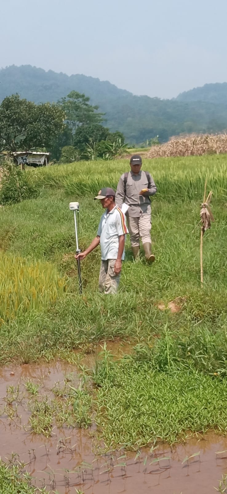 Percepat Program PTSL 2026, Kantor Pertanahan Kabupaten Batang Rampungkan Pengukuran Tanah di Desa Sukorejo