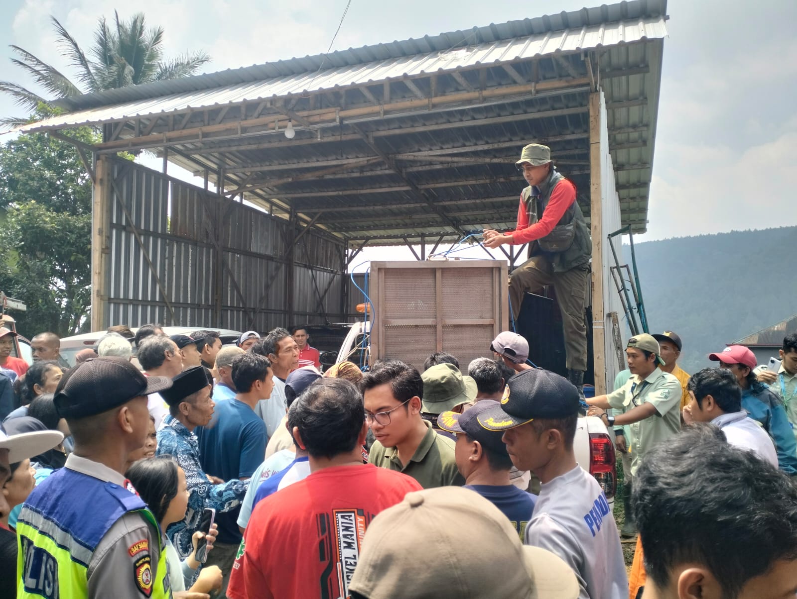 Polresta Batang Bergerak Cepat Evakuasi Macan Kumbang Terluka yang Mangsa Ternak Warga