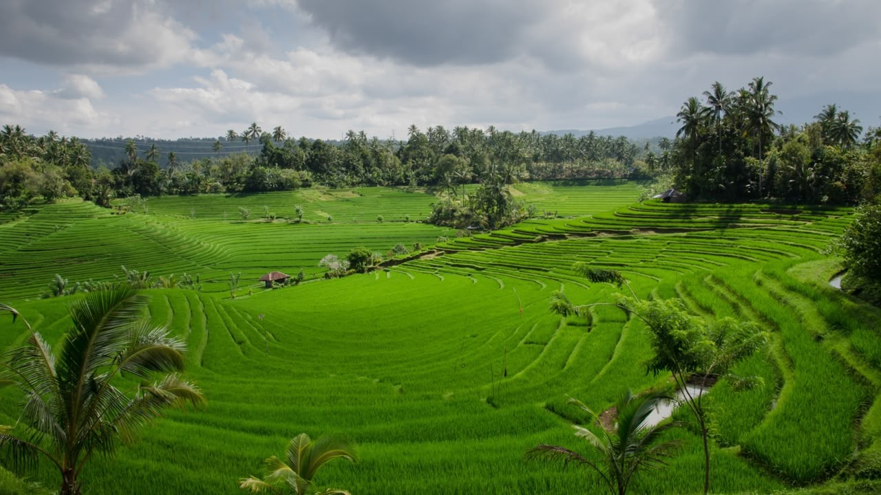 Lampaui Target, LP2B Capai 87,63% di Momen Peringatan 66 Tahun UUPA